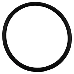 Plastica Argonaut AV Pump Diffuser O-Ring