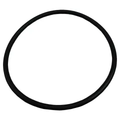 Plastica Argonaut AV Pump Lid O-Ring