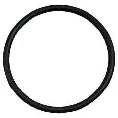 Plastica HeatSeeker Union O-Ring  43mm for Vertical 17kW 