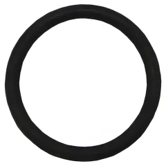 Plastica Argonaut Pump  AG Union O-Ring 
