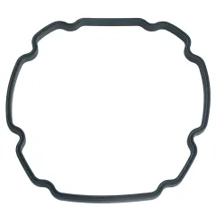 Plastica iFlo Pump Volute Gasket