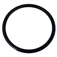 Plastica iFlo 310 Filter O-Ring between valve assy and tank