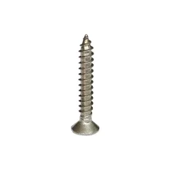 IQUE 304SS Torx Fix Screws (30MM)