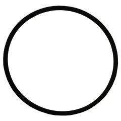 Image of Argonaut Pump Body O Ring