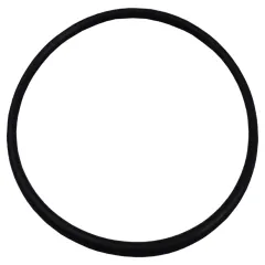 Plastica Argonaut Pump AG  Lid O-Ring