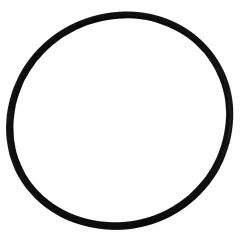 Plastica Argonaut Pump AG Seal Plate O-Ring