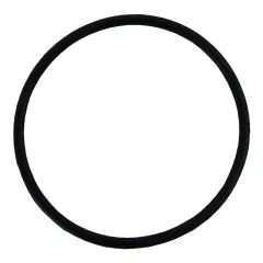 Plastica Argonaut Pump AG Diffuser O-Ring