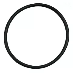 HeatSeeker Union O-Ring  52mm for Vertical 17kW 